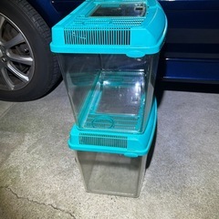 昆虫飼育ケースの画像