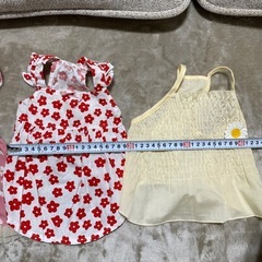 犬用　洋服セットの画像