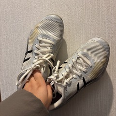 アシックス バレーシューズ 24cmの画像