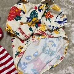 犬用　洋服の画像