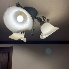 照明器具 シャンデリア シーリング？ライトの画像