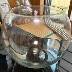 丸型水槽の画像