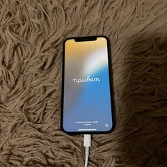 【決定】iPhone12 Pro 128GB パシフィックブルーの画像