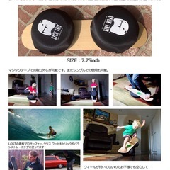 SYCK TRIX インドアオリーボードの画像