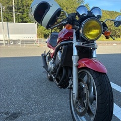 バリオス一型の画像