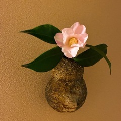 茶道教室　表千家の画像