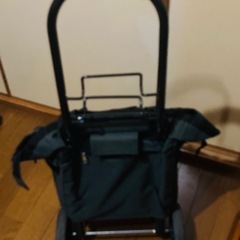 キャリーバッグ決まりましたの画像