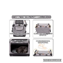 GPR次世代　3WAY ペットキャリーコンテナの画像