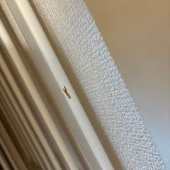 ベビーベッド　カトージの画像