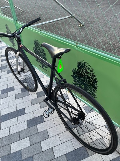 FUJI declaration 49 ピスト