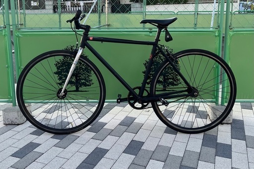 FUJI declaration 49 ピスト