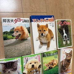 動物系　児童書　11冊の画像
