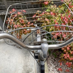 【引渡し仮決定】自転車　26インチの画像