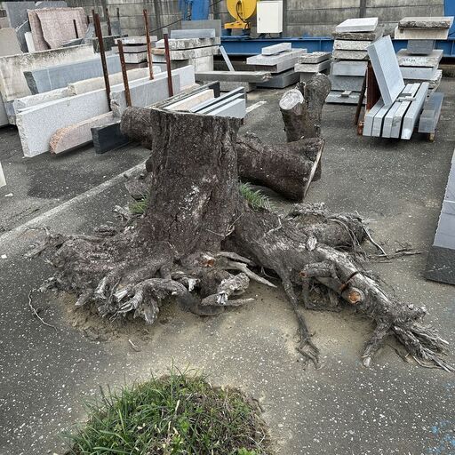 【平日営業時間引き取り】切株　木の根っこ　流木 平日営業時間引き取り】切株 木の根っこ 流木 桜の木の通販はau PAY
