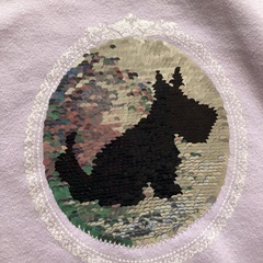 a.v.v160トレーナーの画像