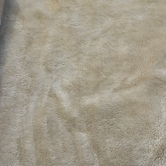 Aquascutum ブランケット 140×100cm チェック柄 ひざ掛け の画像