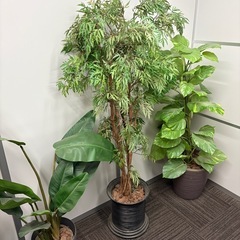 【事務所・テナントなどに】　人工観葉植物　フェイクグリーンの画像