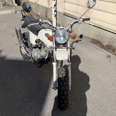 エイプ 100
の画像