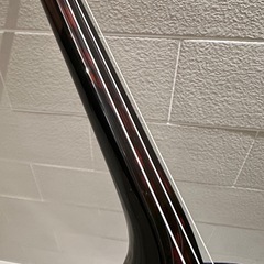 カミゲン黒木三線 ウジラミ模様入 小与那型の画像