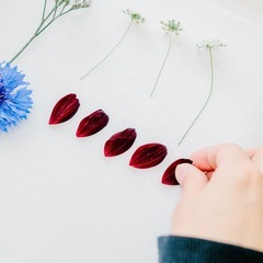 お花を押し花に加工するお仕事です、製作スタッフさん募集！の画像