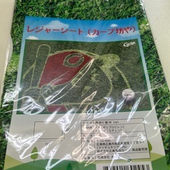 カープ坊やユニフォーム型バッグ､レジャーシート2点セット！の画像