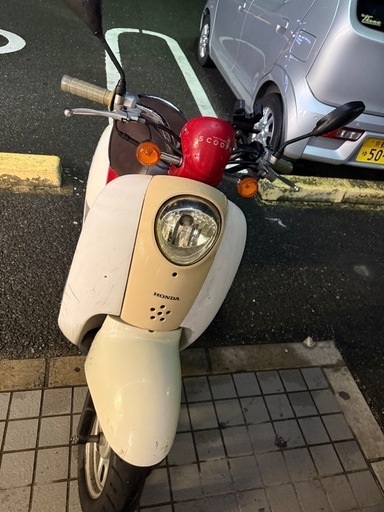 本日限定スクーピー