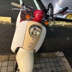 本日限定スクーピーの画像