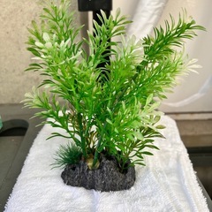 (取引中)水槽セットの画像