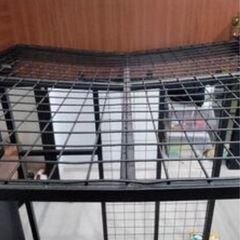 配達可能🚚 ニトリ 2段ベッド ハシゴありの画像