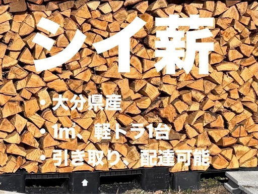 大分県産 シイの薪 約1㎥（軽トラ1台分）12,000円 太め多め 薪ストーブ向き