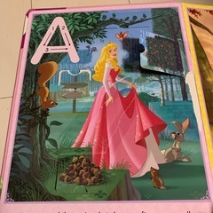 ディズニープリンセスの本の画像