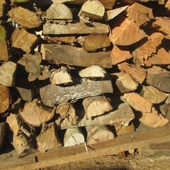 広葉樹MIX薪、軽トラ換算でアオリくらいまで。長さ不揃い、虫食いあり、太さ様々、薪ストーブ、の画像