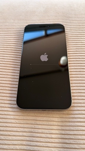 【本日申し込みまで】早い者勝ち　美品　Apple iPhone 15Pro MAX 256GB SIMフリー