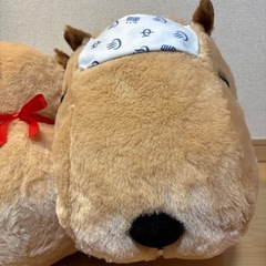 カピバラ 馬 午 ぬいぐるみ 3点セットの画像