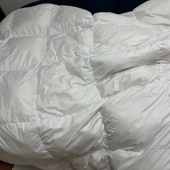 色々ありますの画像