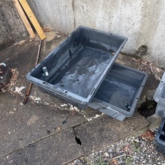 メダカの容器の画像