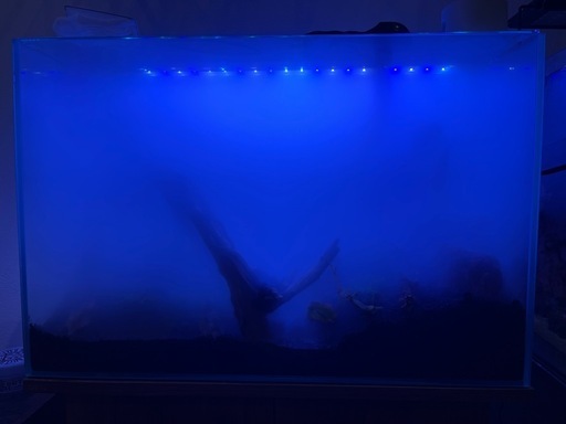 パルダリウムそのまま引き渡し