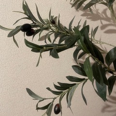観葉植物 (人工) オリーブの画像
