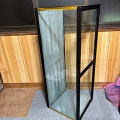 1200水槽🤣 の画像