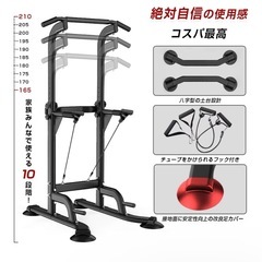 ぶら下がり+20kgダンベルの画像