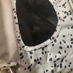 エロディ　モンドストローラー　ダルメシアンドットの画像