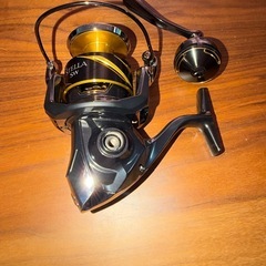 25ステラsw8000XGの画像