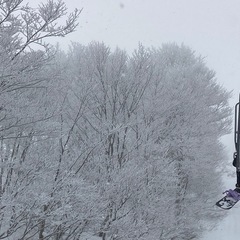 土日祝に一緒に滑れる方募集します〜