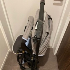 Pigeon ランフィ
の画像