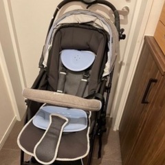 Pigeon ランフィ
の画像