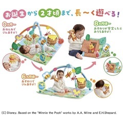 ベビージムプーさんの画像