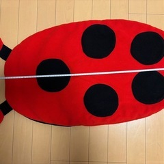 冬用　おくるみの画像