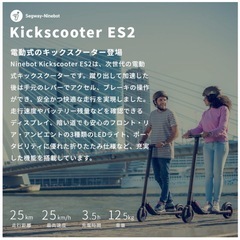 Segway Ninebot キックボードの画像