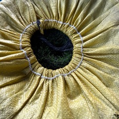 2点 人工芝　　　　1mx20mの画像