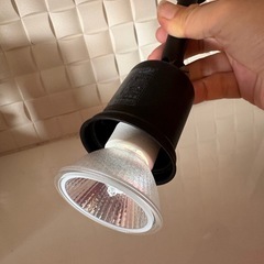 オーデリック　　ダクトレール　照明の画像